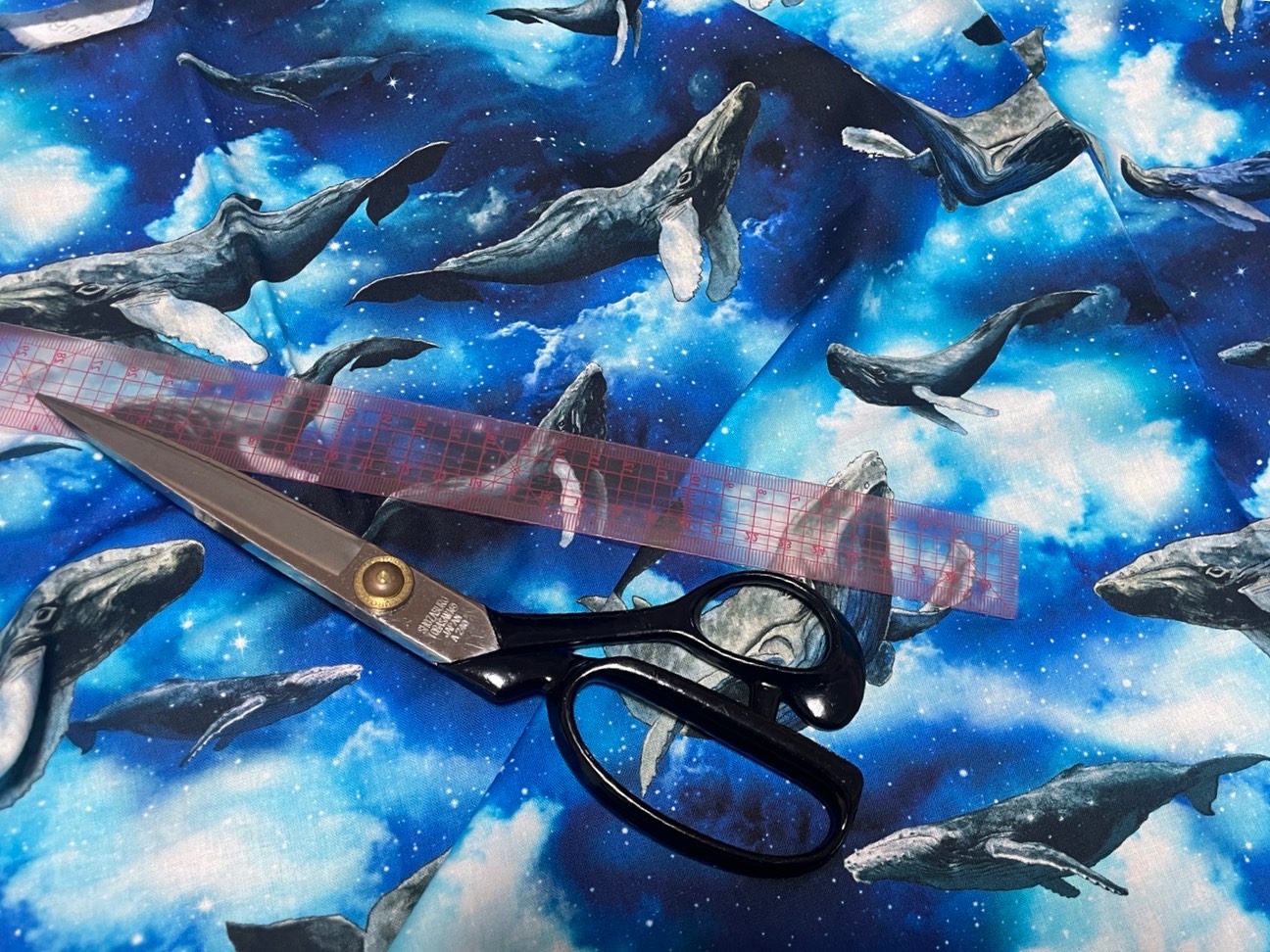 Is Canned Tuna Good For You?