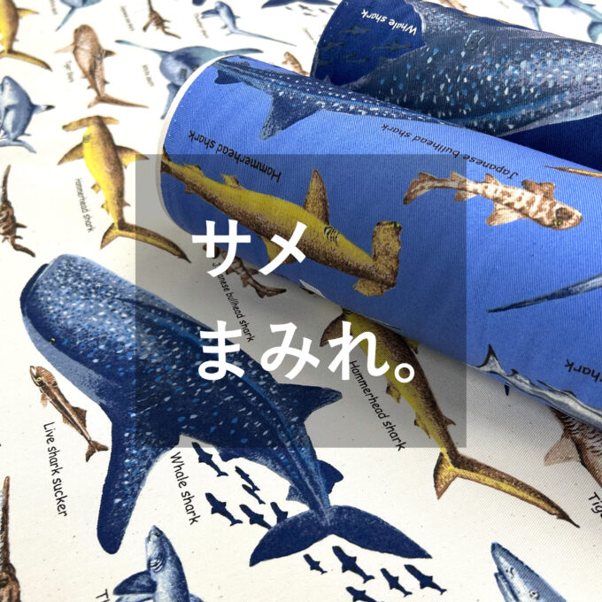 サメ図鑑(生成り)×黒　入園入学グッズ5点セット/裏地キルティング キルティング 生地 鮫柄 2種 レッスンバッグ生地 綿100％ 海 魚