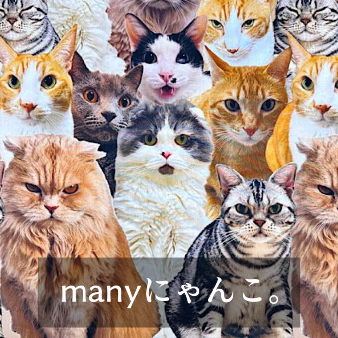 phonto-5-680x680.jpeg